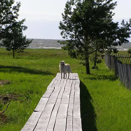 Puhkemaja Nyaraló *