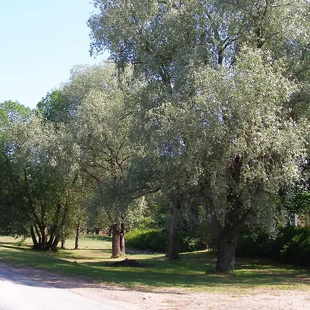 Puhkemaja Nyaraló Treimani