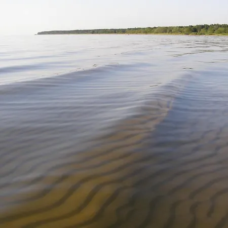 Дом отдыха Puhkemaja