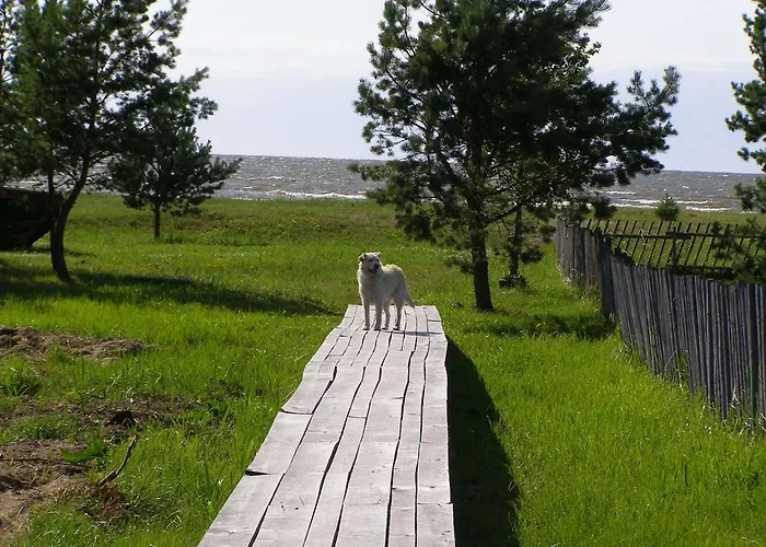 Puhkemaja Dom wakacyjny *