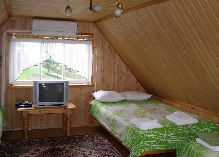 Dom wakacyjny Puhkemaja Treimani